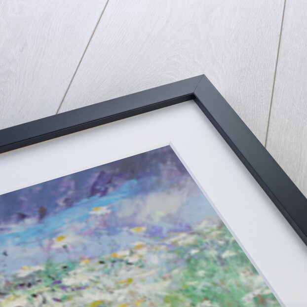 Daisy Meadow, 2017 by Sylvia Paul