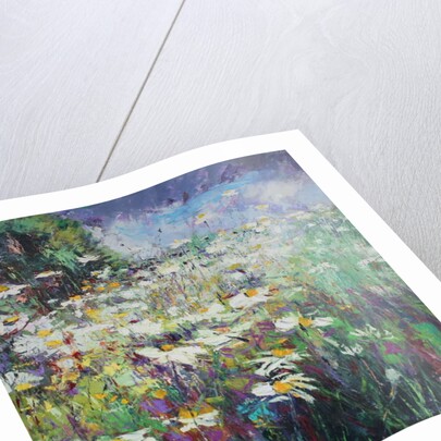 Daisy Meadow, 2017 by Sylvia Paul