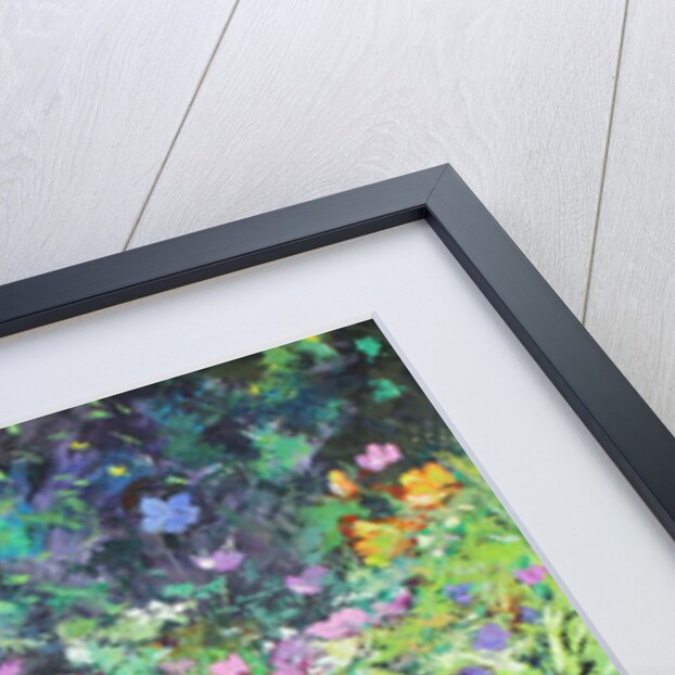 Play of Light, 2017 by Sylvia Paul