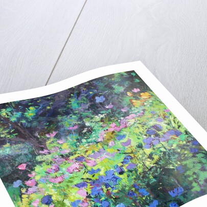 Play of Light, 2017 by Sylvia Paul