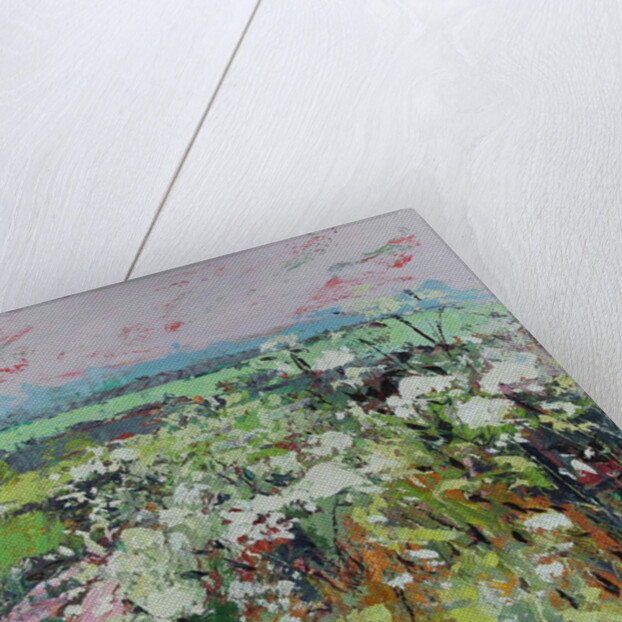 Footpath in Early summer by Sylvia Paul