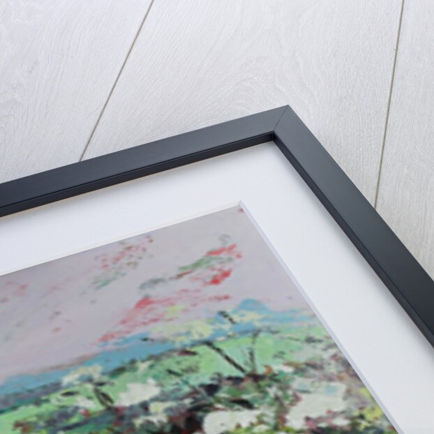 Footpath in Early summer by Sylvia Paul