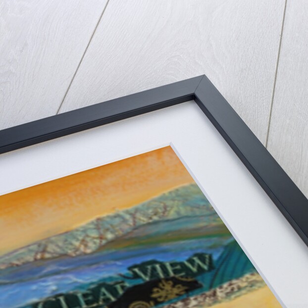 A Clear View, 2013 by Sylvia Paul