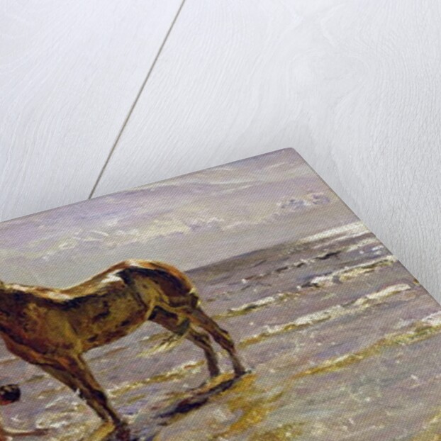 Bathing a Horse, 1905 by Valentin Aleksandrovich Serov