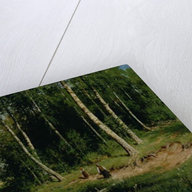 In The Birch Tree Forest, 1883 by Ivan Ivanovich Shishkin