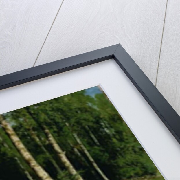 In The Birch Tree Forest, 1883 by Ivan Ivanovich Shishkin