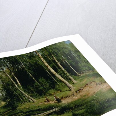 In The Birch Tree Forest, 1883 by Ivan Ivanovich Shishkin