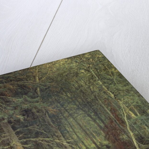 Swamp in the Forest, Autumn, 1872 by Fedor Aleksandrovich Vasiliev