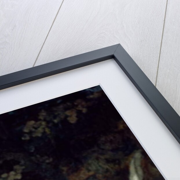 Bellerophon Leaving to Fight the Chimera, 1829 by Aleksandr Andreevich Ivanov