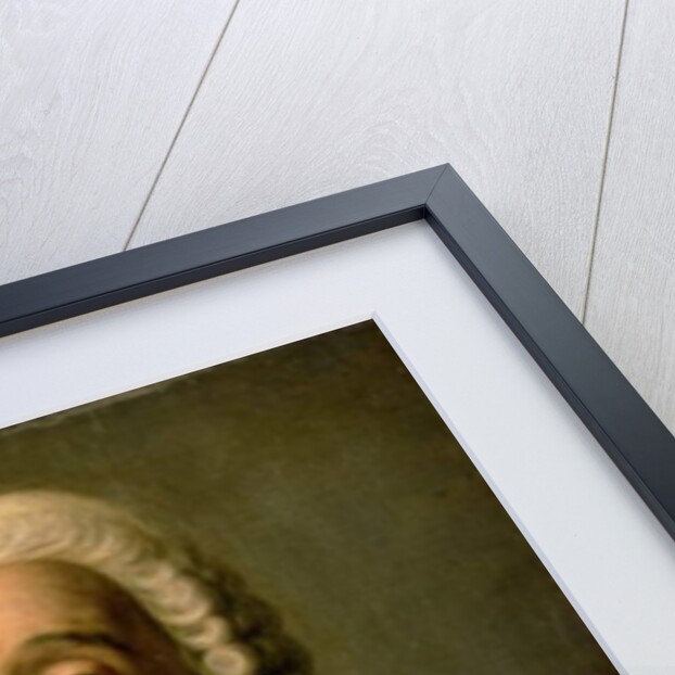 Portrait of the architect Bartolomeo Francesco Rastrelli by Pietro Antonio Rotari