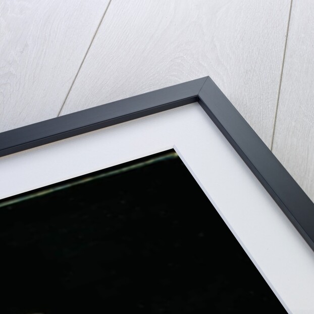 Portrait of Countess Natalia Pavlovna Zubova c.1820 by School Russian