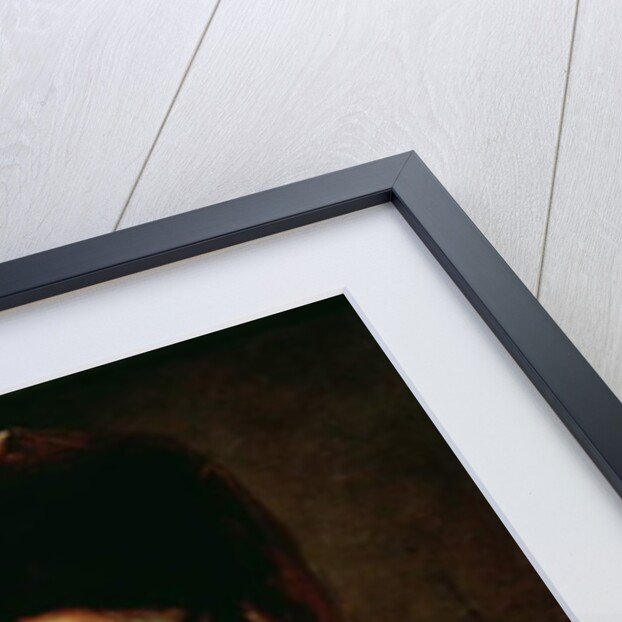 Portrait of Catherine II the Great in a Travelling Costume, 1787 by Mikhail Shibanov