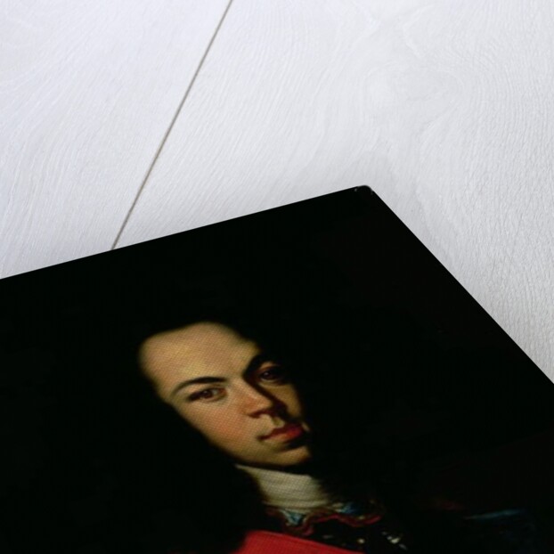 Portrait of the Tsarevich Alexei Petrovich 1710 by Gottfried Danhauer