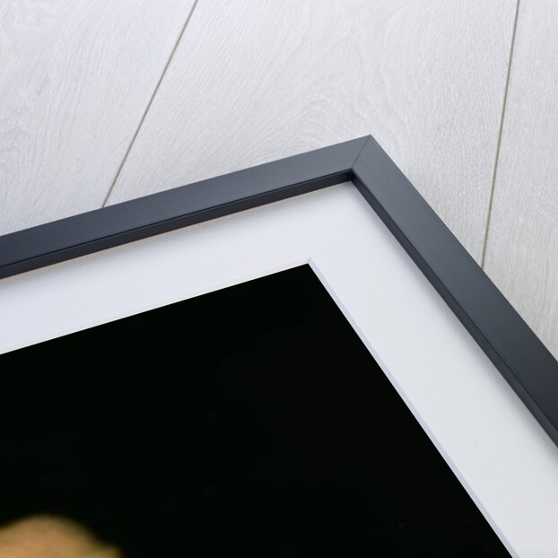 Portrait of the Tsarevich Alexei Petrovich 1710 by Gottfried Danhauer