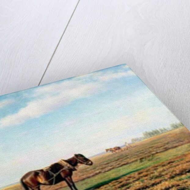 Ploughing the Field, 1871 by Mikhail Konstantinovich Klodt