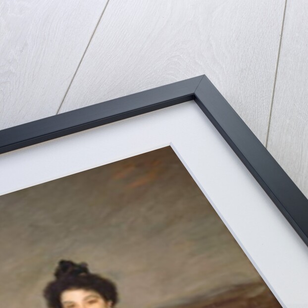 Portrait of Sofia Mikhailovna Botkina, 1899 by Valentin Aleksandrovich Serov