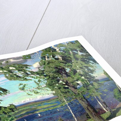 Green Sensation, 1904 by Arkadij Aleksandrovic Rylov