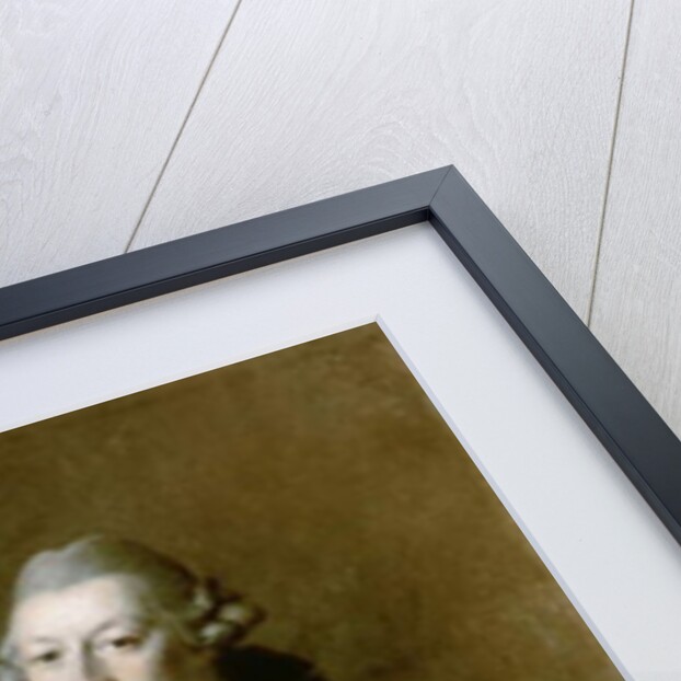 Portrait of Aleksandr Filippovich Kokorinov Architect, Director and First Rector of the Academy of Arts, 1769 by Dmitri Grigor'evich Levitsky