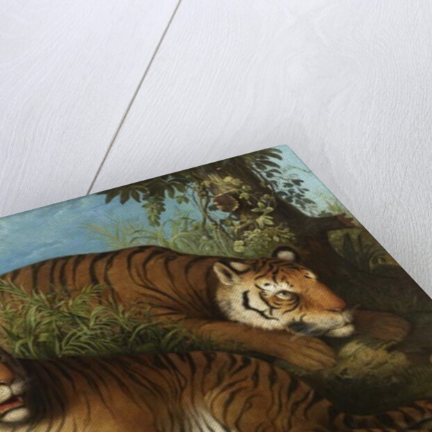 Royal Bengal Tigers by Johan Wenzel Peter