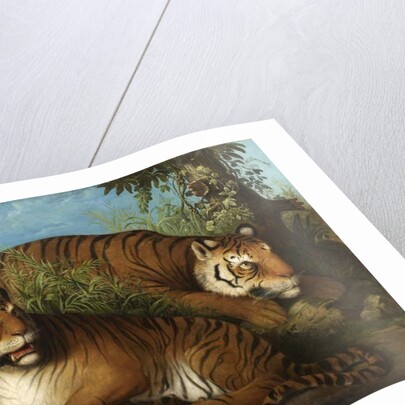 Royal Bengal Tigers by Johan Wenzel Peter