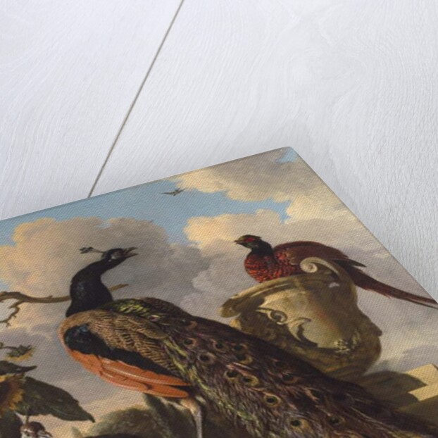 Birds in the Park by Melchior de Hondecoeter