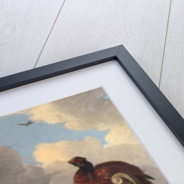 Birds in the Park by Melchior de Hondecoeter