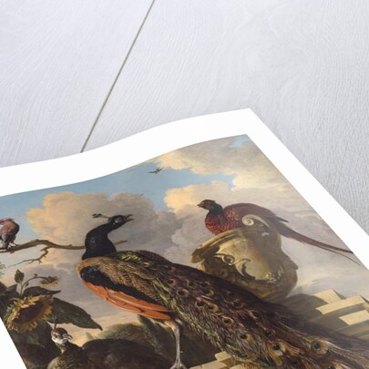 Birds in the Park by Melchior de Hondecoeter