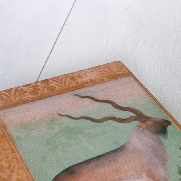 Ibex, Mughal by Indian School