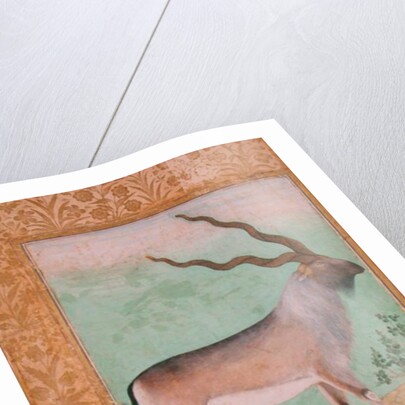 Ibex, Mughal by Indian School