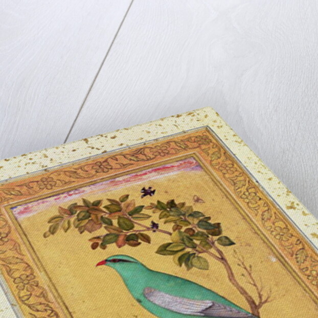 Green Bird, Mughal by Indian School