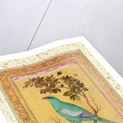 Green Bird, Mughal by Indian School