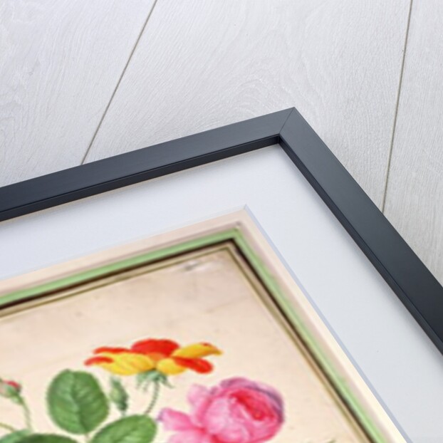 ose by Johann Jakob Walther