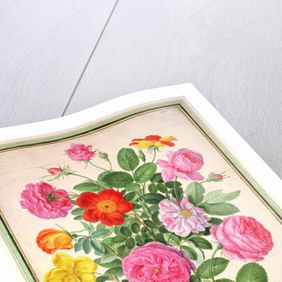 ose by Johann Jakob Walther