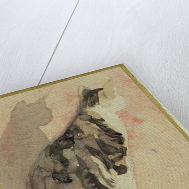 Study of a Cat by Gwen John