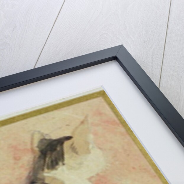 Study of a Cat by Gwen John