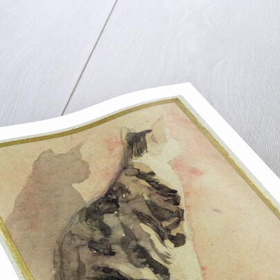 Study of a Cat by Gwen John