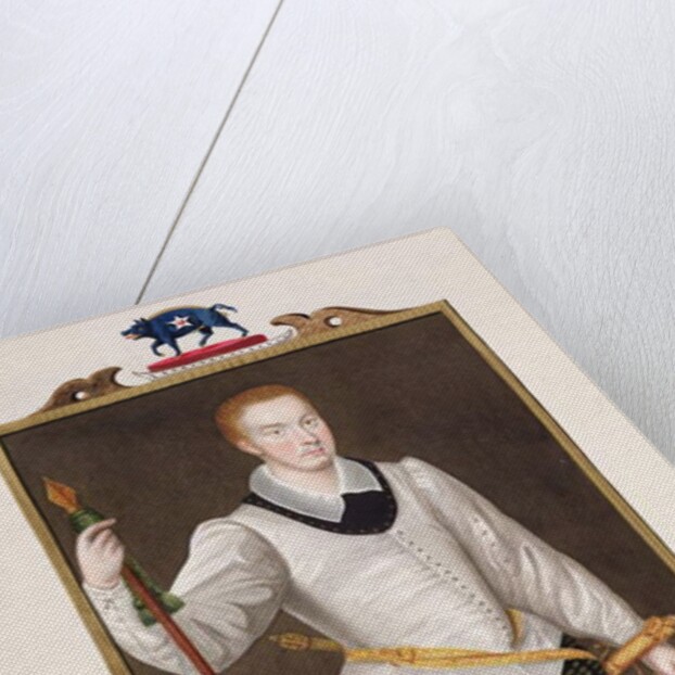 Portrait of Sir Francis Vere by Sarah Countess of Essex