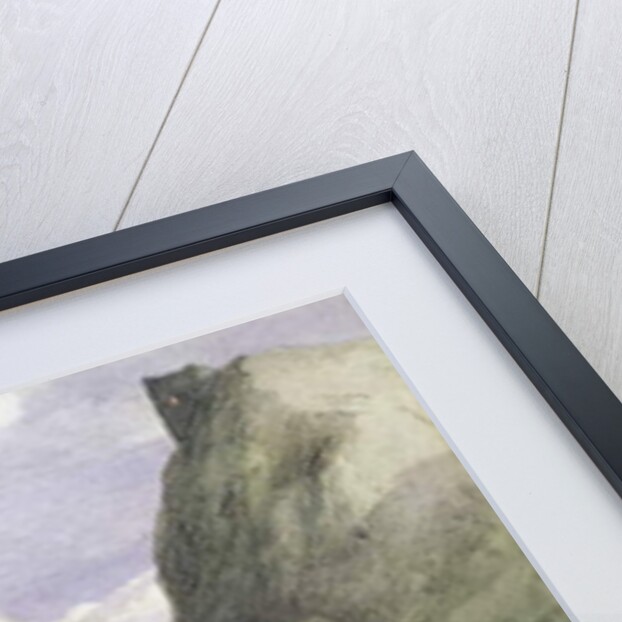 The Witches' Home, 1875 by Richard Doyle