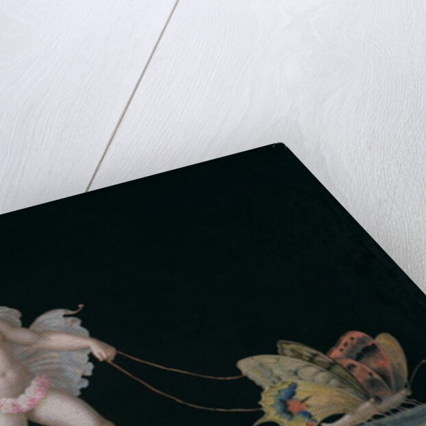 Cupid led by butterflies by Michelangelo Maestri