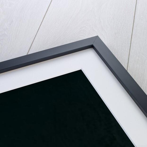 Cupid led by butterflies by Michelangelo Maestri