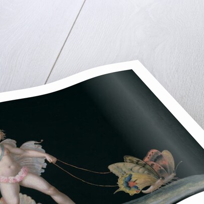 Cupid led by butterflies by Michelangelo Maestri