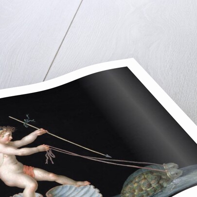 Cupid being led by Tortoises by Michelangelo Maestri