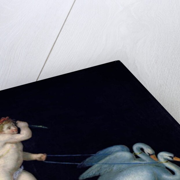 Cupid being led by a pair of swans by Michelangelo Maestri