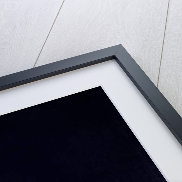 Cupid being led by a pair of swans by Michelangelo Maestri