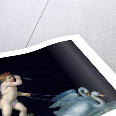 Cupid being led by a pair of swans by Michelangelo Maestri
