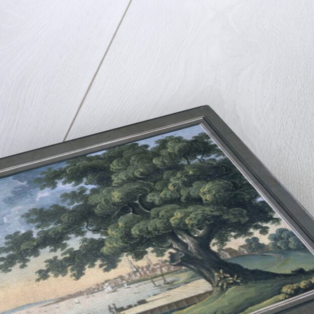 The Great Tree of Kingston with a view of Philadelphia behind by C.A. During
