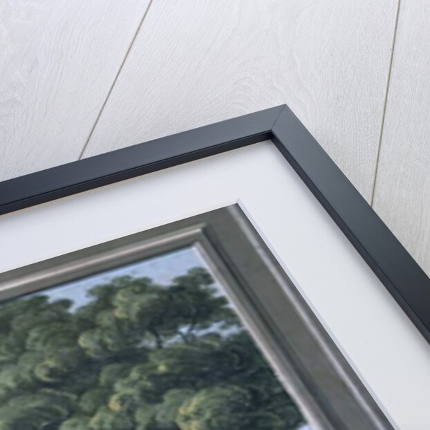 The Great Tree of Kingston with a view of Philadelphia behind by C.A. During