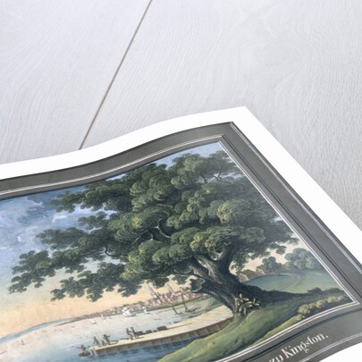 The Great Tree of Kingston with a view of Philadelphia behind by C.A. During