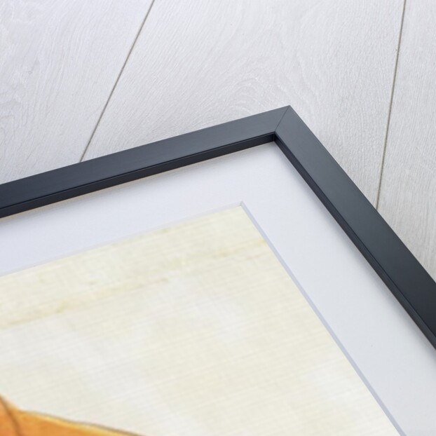 The Orange Colour Bird by Edward Lear