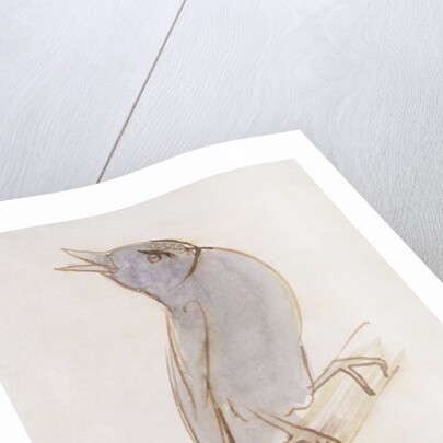 The Gray Bird by Edward Lear